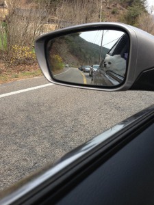 rear-view-mirror-112387_960_720