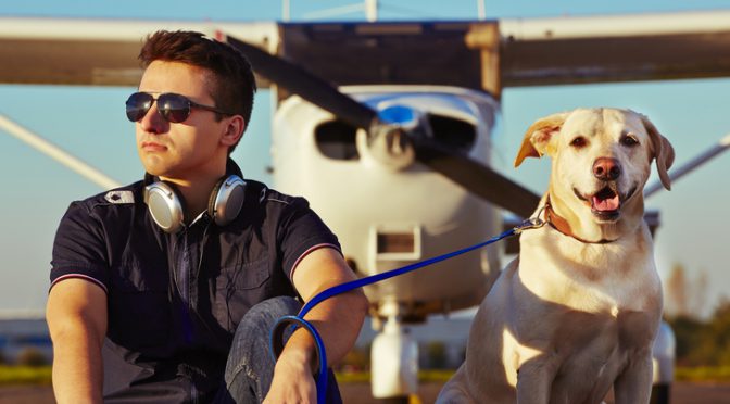 Att flyga med hunden kräver förberedelser